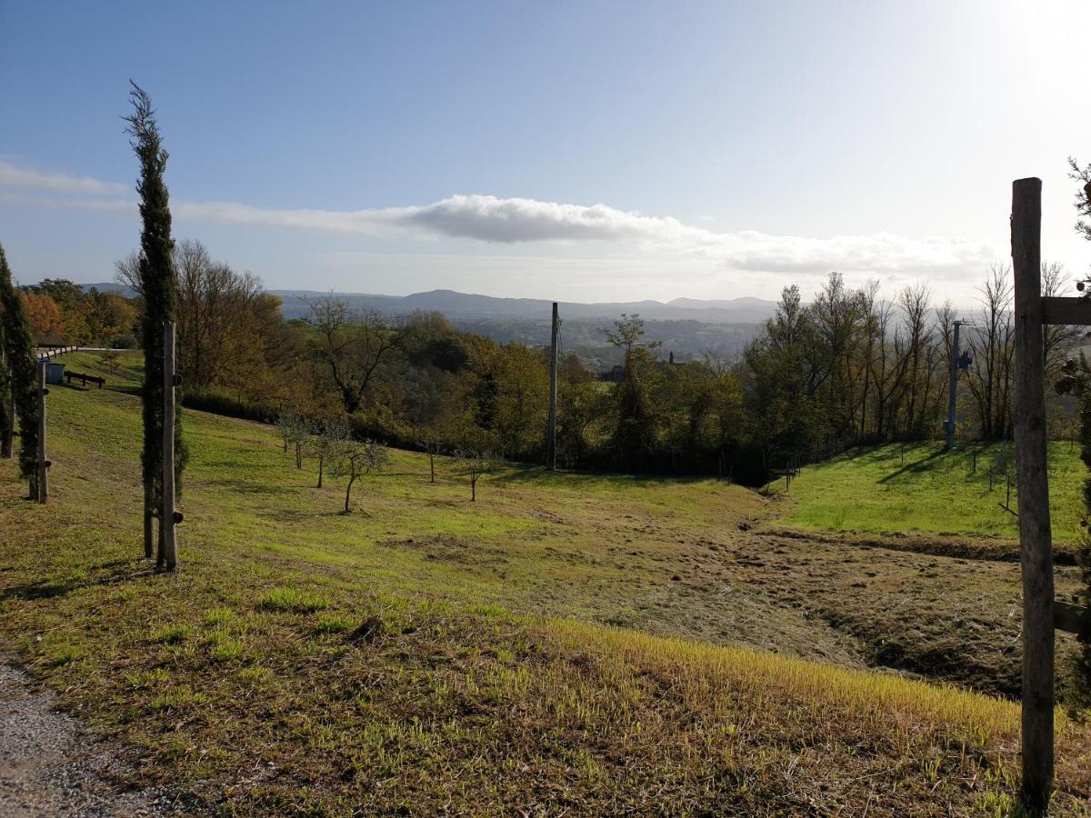 Podere Il Poggio Asciano Exterior foto